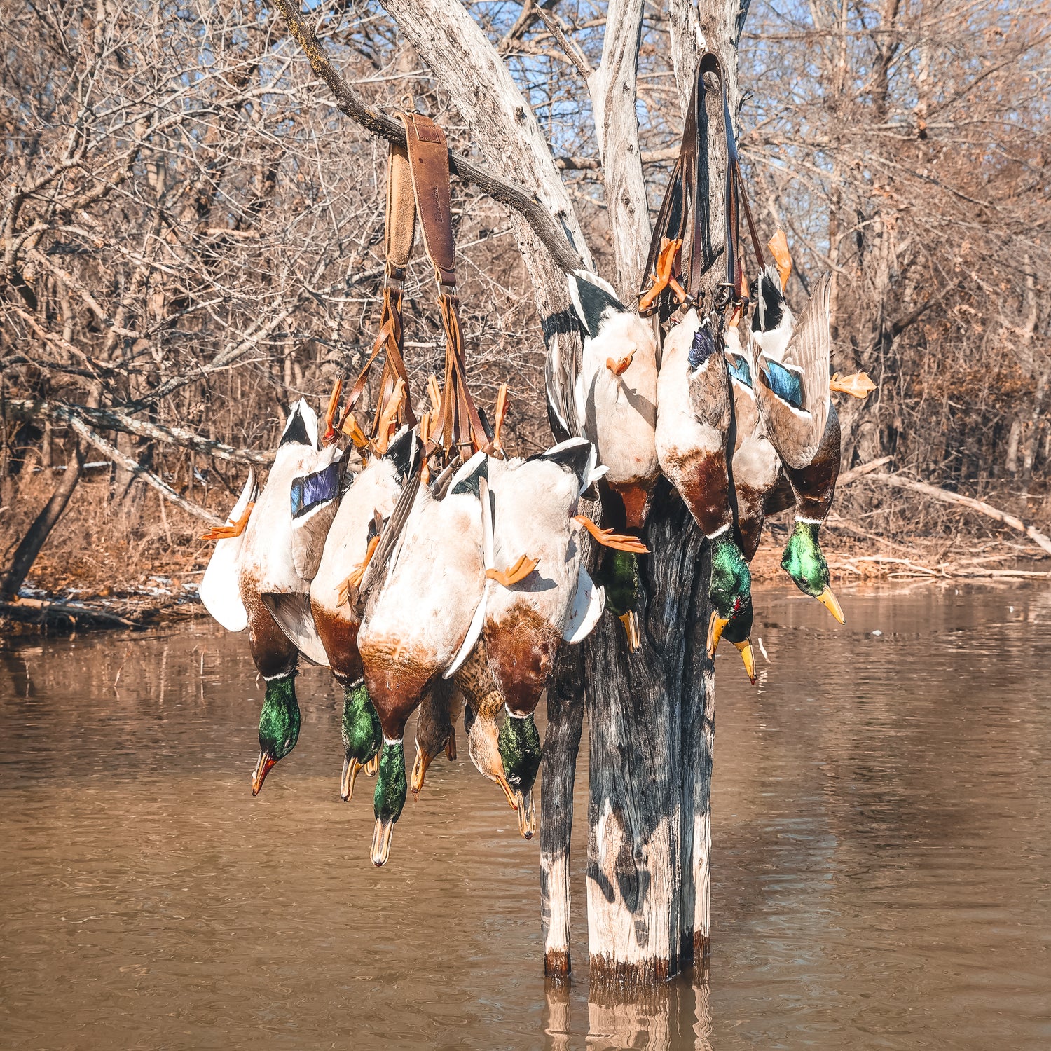 The Heritage Outdoors