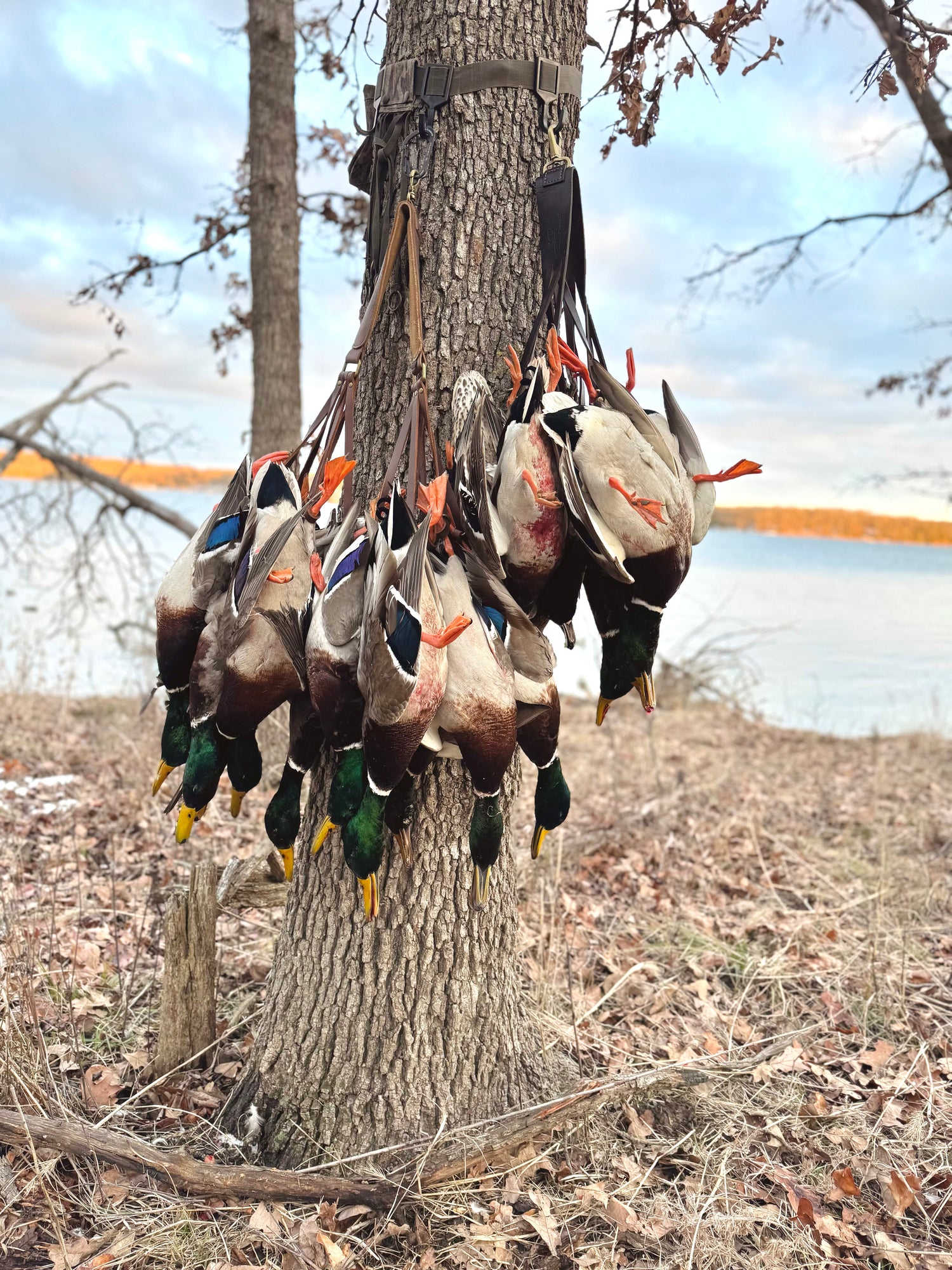 The Heritage Outdoors